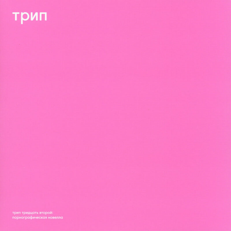 Vladimir Dubyshkin Pornographic Novel HHV Mag