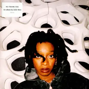 Little Simz – No Thank You – HHV Mag