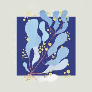 Salamanda – In Parallel