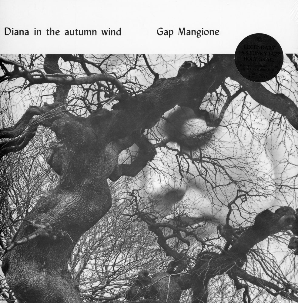 Diana in the autumn wind 激レア Gap Mangione – Diana In The Autumn Wind – HHV Mag